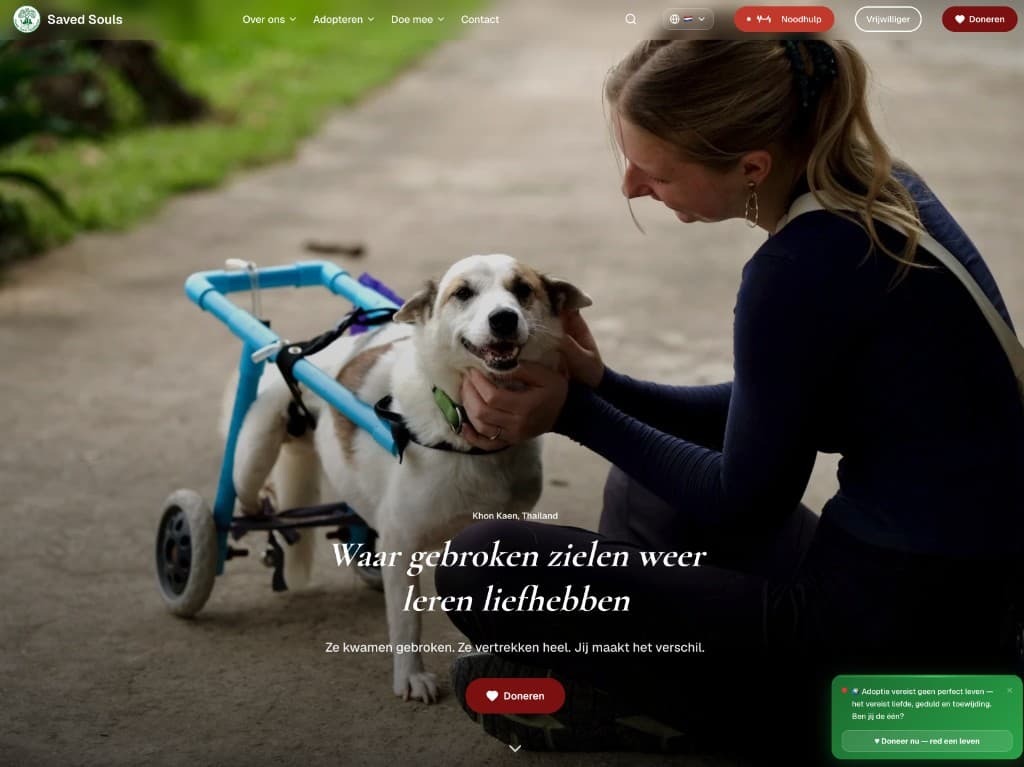 Screenshot van Saved Souls Foundation